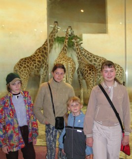 Аквариум с живыми жирафами